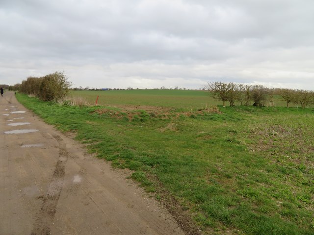 Farm track near Whittlesford