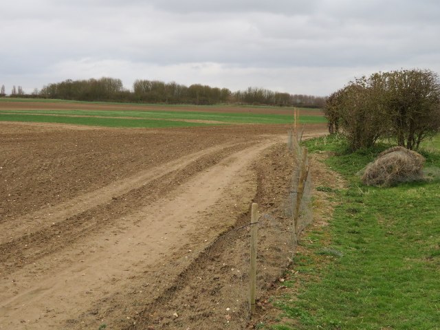 Farmland by the Whittlesford Road