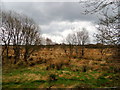 Bogland, Ballynamullan