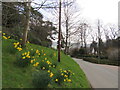 Spring in Carding Mill Valley Road