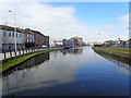 Newry Canal above Ballybot Bridge