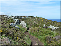 SW4740 : Path towards trig point, Trevega Cliff by Robin Webster
