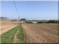 Footpath in ploughed field