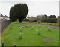 Western edge of Bathurst Park, Lydney