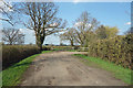 Bridleway near Conigsby Farm