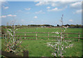 Flat Farmland near Paley Street