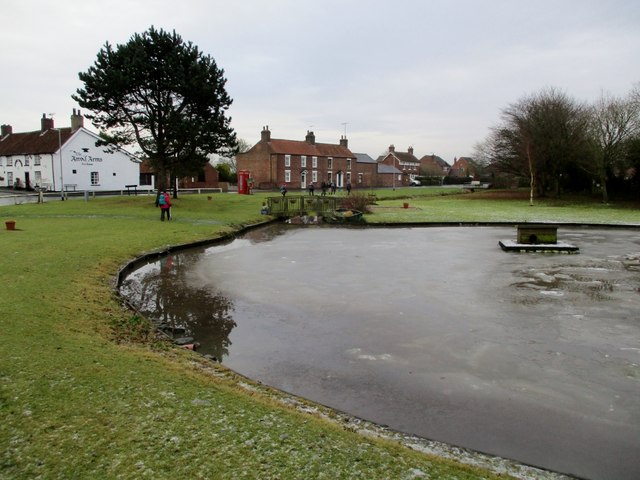 Village  pond  iced  over  at  Wold  Newton
