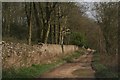 South Walk, byway above Glass House Plantation, Belton