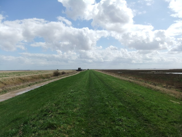 Winestead Drain © David Brown cc-by-sa/2.0 :: Geograph Britain and Ireland