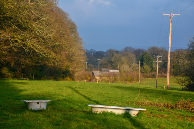 East Devon : Grassy Field