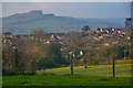 East Devon : Grassy Field