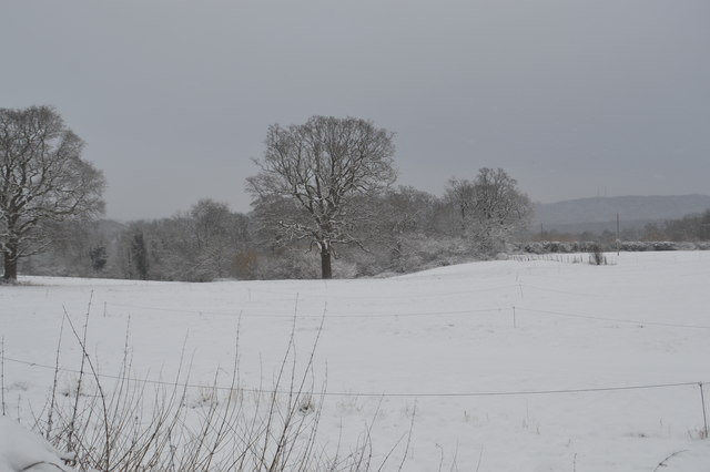 Snowscene, Mabledon Farm