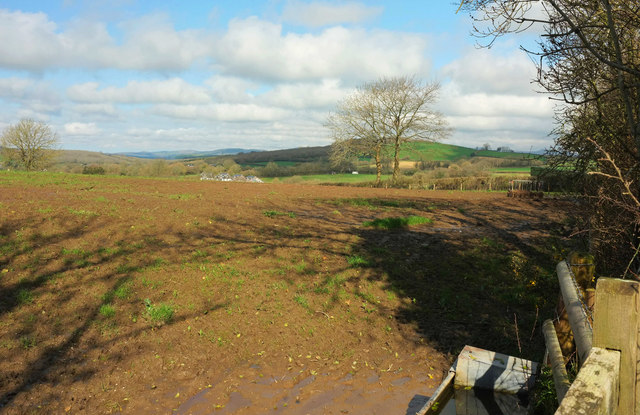 Field near Broadhempston © Derek Harper cc-by-sa/2.0 :: Geograph ...