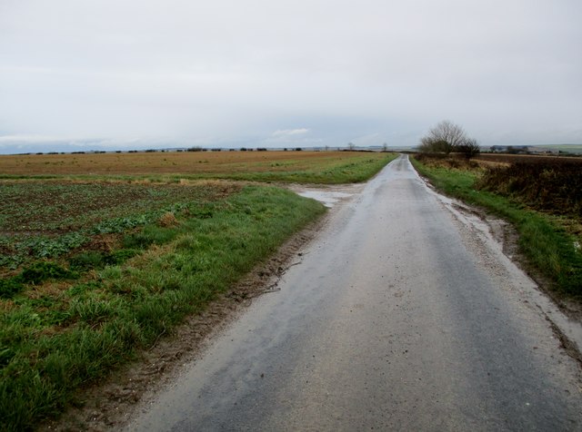 Road  from  Thwing  to  Burton  Fleming