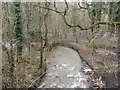 Twizell Burn, Pelton Fell