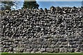 Caerwent Roman Town: Eastern Roman walls