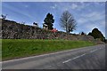 Caerwent Roman Town: Eastern Roman walls