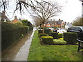 Decorative hedges on Willifield Way