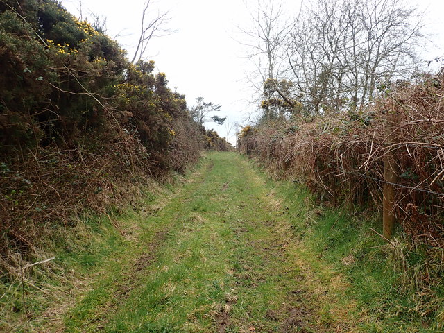 Farm track forming part of the Ring of Gullion Path