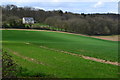 Stowell Copse and Cottage seen across field