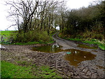 H5371 : Muddy lane, Bancran by Kenneth  Allen