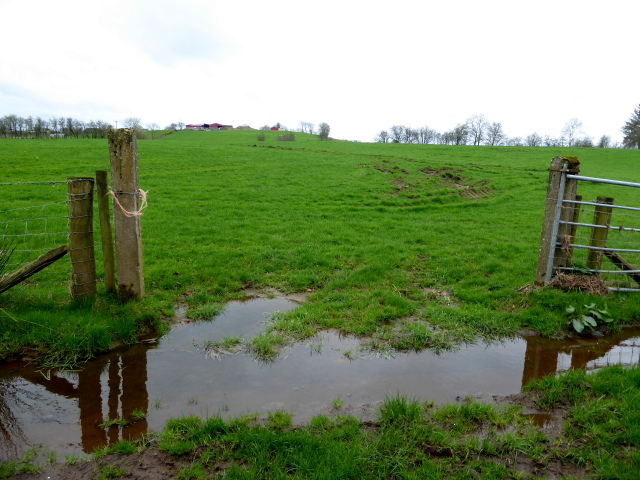 Wet ground, Bancran