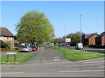 TL4759 : Barnwell Road: spring green by John Sutton