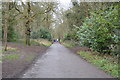 Path through Nonsuch Park