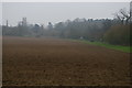 Stoke-by-Nayland church tower from the south