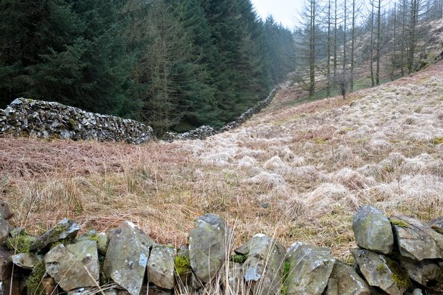 Southern slopes of Craigmurchie