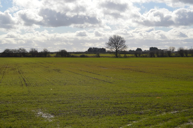 Flat field