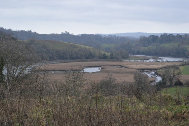 Marshes by the River Dart