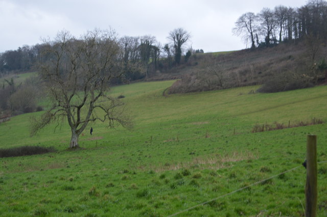Slopes of the Dart valley