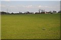 Farmland and Allsetts Farm