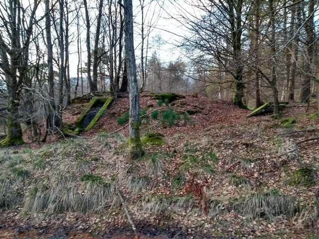 WWII Bunker © David Robertson :: Geograph Britain and Ireland