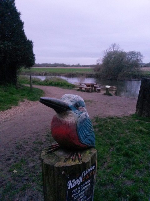 Muscliff: a kingfisher points to the café