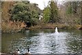 TQ2162 : Lake, Bourne Hall Gardens by N Chadwick