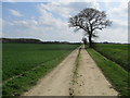 Farm  track  and  bridleway  to  Brandesburton