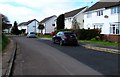 White houses, Eastlands Park, Murton 