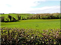 Tullycunny Townland