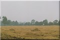 Harvested field in Ickwell, 1986