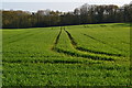 Tractor tracks in spring crop field