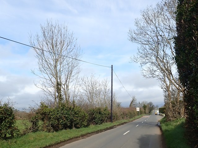 Hedges and verges along the Aghlisnafin Road