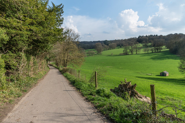 Lane to Polesden Farm