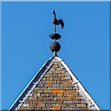 NH8449 : Weather Vane Cawdor Church by valenta