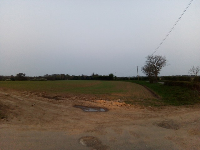 Fields off The Street, south of Pannington Hall