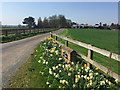 Farm entrance, near Bolton (E Yorks)