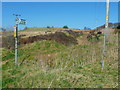 Footpath on the edge of Brow Moor, Haworth