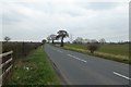 Looking along Moxby Lane