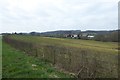 Fields near Stearsby